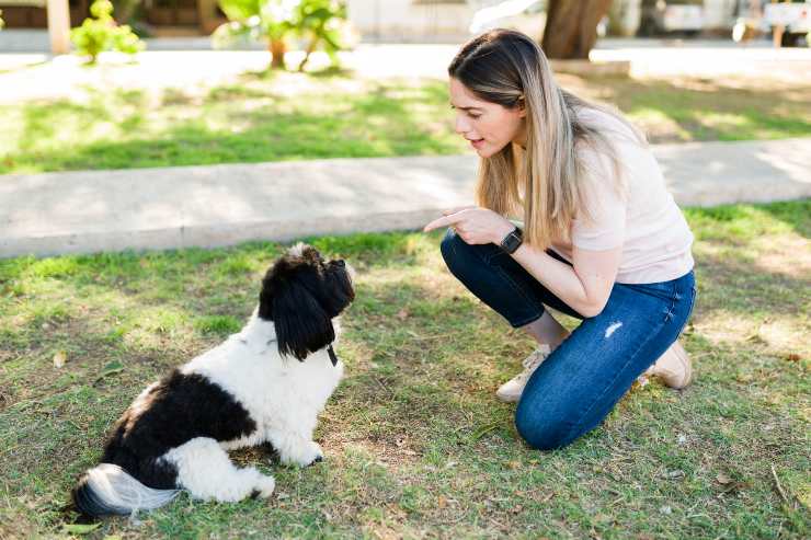 Padrona che da comando a cane