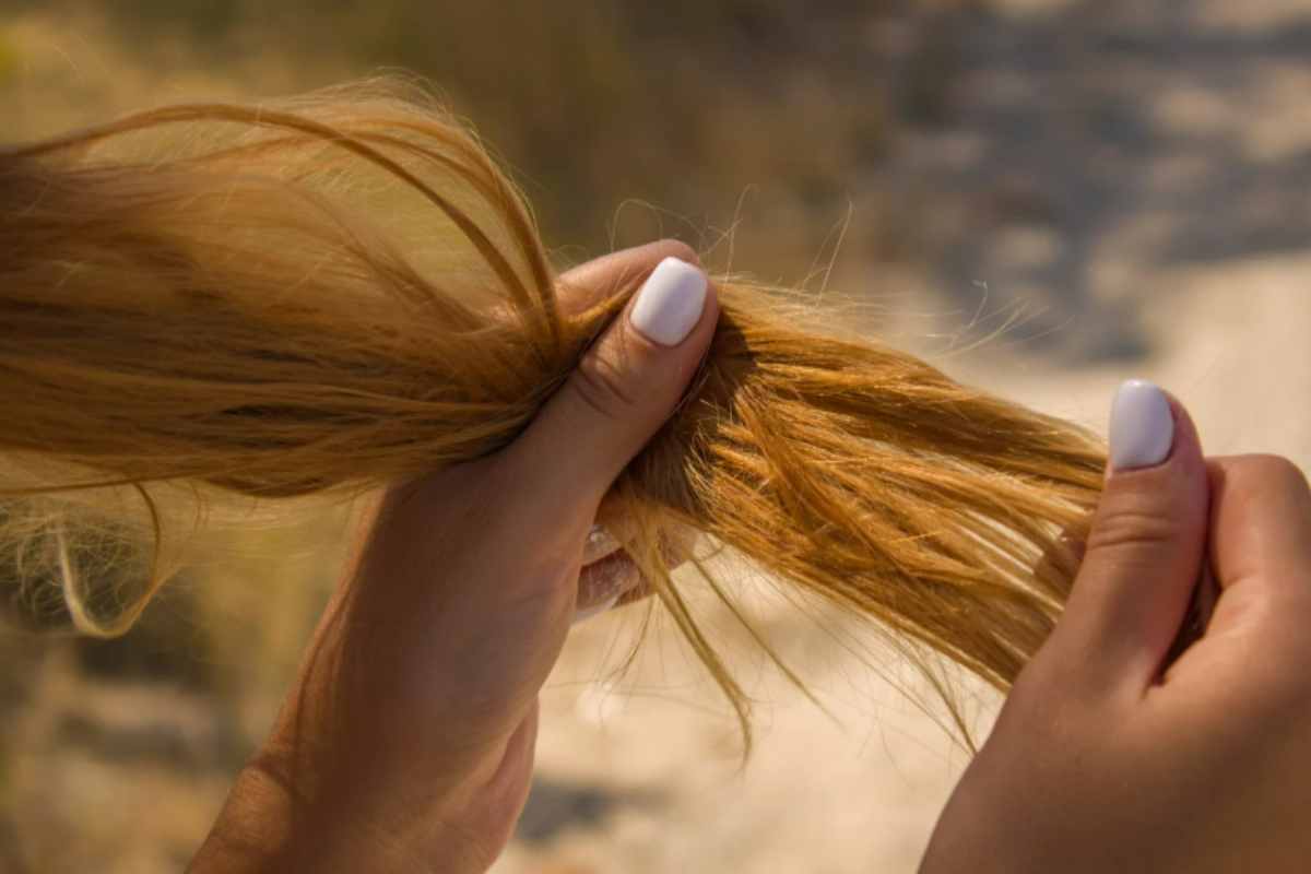 capelli secchi