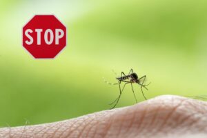 zanzara e segnale stop
