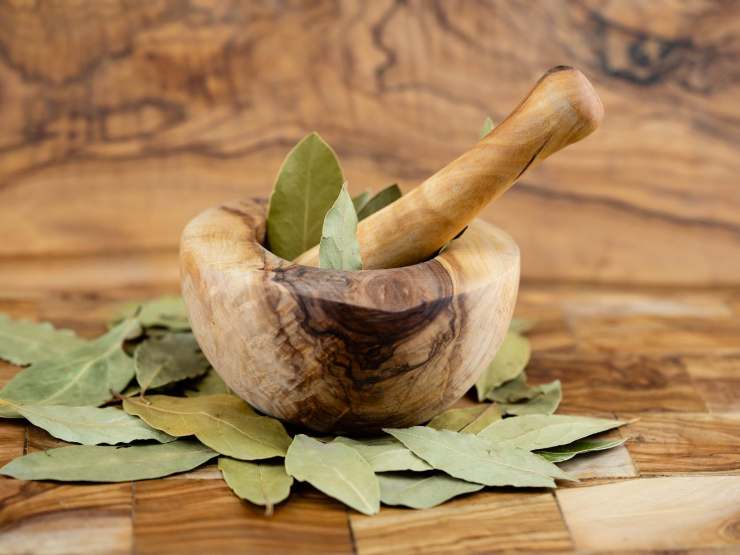 foglie di alloro in ciotola e con mestolo